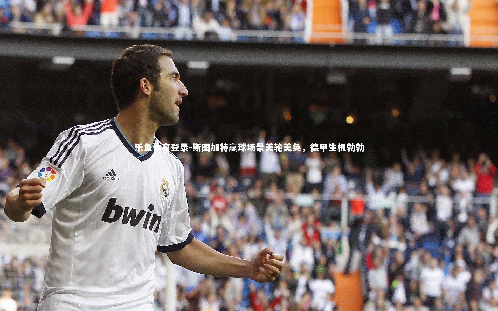 乐鱼体育登录-斯图加特赢球场景美轮美奂，德甲生机勃勃