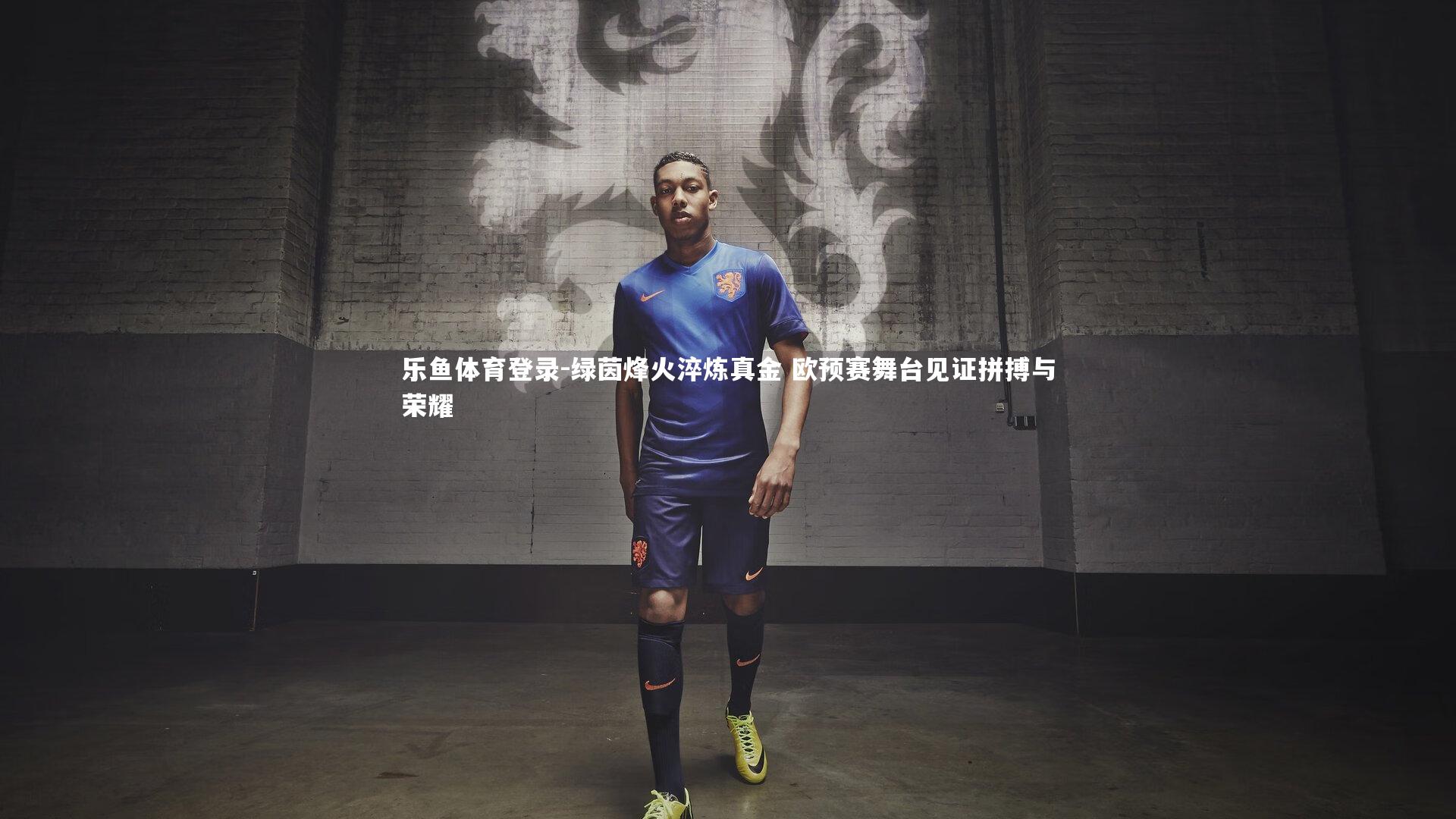绿茵烽火淬炼真金 欧预赛舞台见证拼搏与荣耀