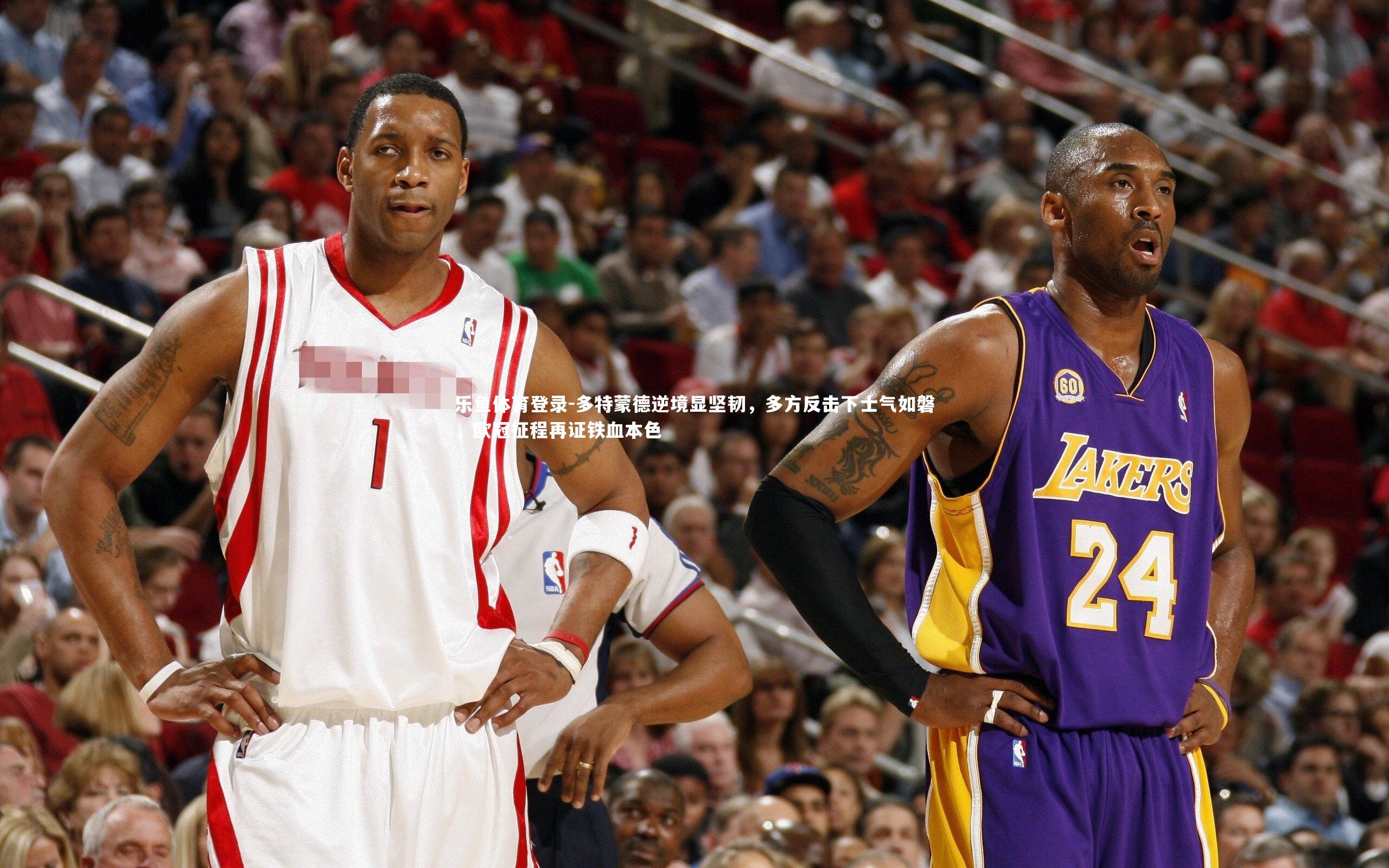 多特蒙德逆境显坚韧，多方反击下士气如磐，欧冠征程再证铁血本色